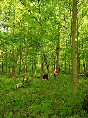 KakaoTalk_20220518_230411218 수필의 숲.png